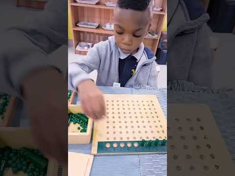 Montessori Mathematics
