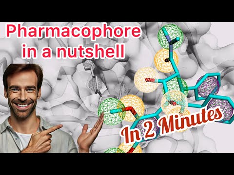 Pharmacophore in a nutshell