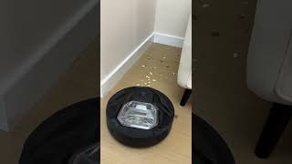 Cleaning elf is here! Let it handle the dust!#lefant #robotvacuun #TechForHome #Cleaning  #shorts