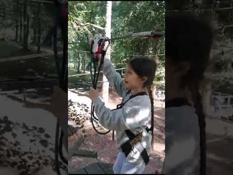 Tree Top Challenge!! #activekids #goape #outdoorchallenge #nature #happykid #summerholidays2023