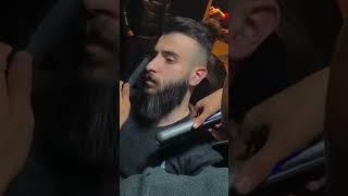 barbreo