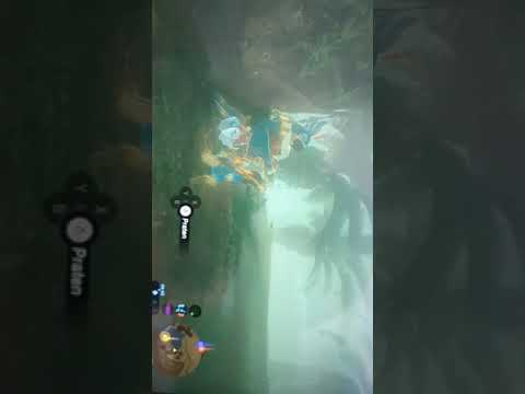 Kass.exe has stopped responding (for a short time at least).