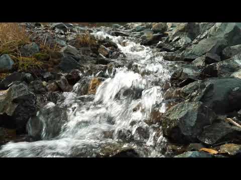 BK RICHMAN SUCCESS nature music