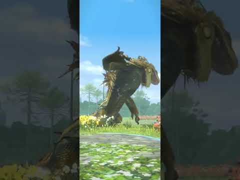 Jagras 7* 31 sec