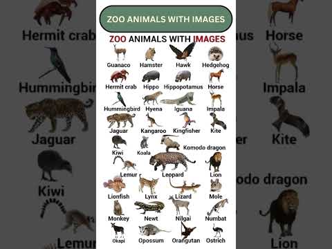 Zoo Animals With Iamges #english #englishlanguage #englishgrammar #englishzone #spokenenglish