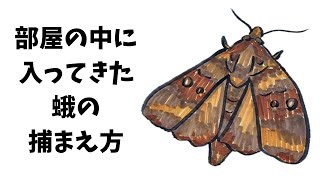 これは、役に立つ情報だ、と思うのですが、どうでしょうか。