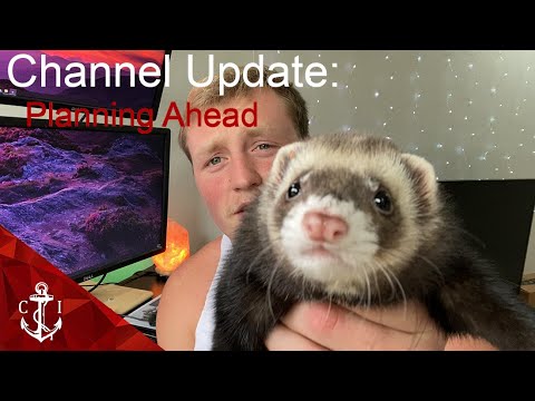 CHANNEL UPDATE: Affiliate Marketing/Name Change/New Business/Ferrets