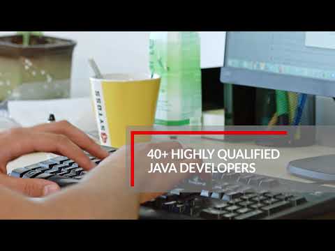 Java software development services