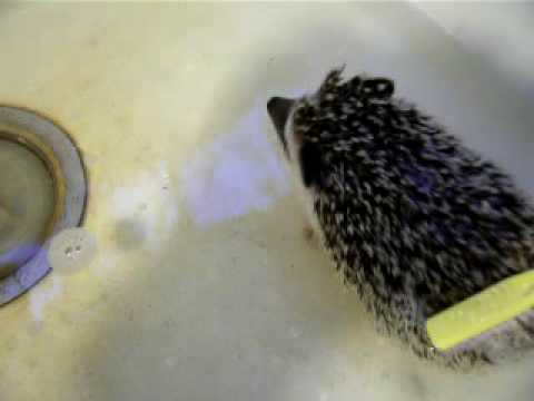 Obio @ 2.5 Months - First Bath