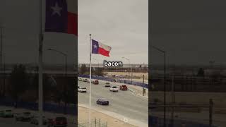 iTrump's Chat with Musk  Fact Checked! 2024 08 14  #techdisruption #history