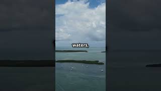 Florida's Must-Visit Spots in 90 Seconds! 🕒🌊 #FloridaAdventures