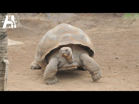 Explaining Zeno's Paradox of Place