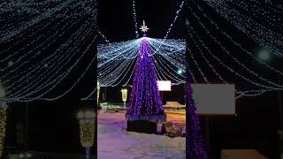 Rovaniemi Finland: Santa Claus Village Lapland Finland ❄️🎅 #shorts