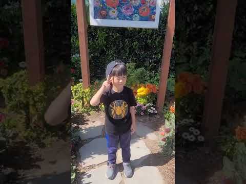 #hm_son7 #son #sandiego #California #camping #flowerfieldscarlsbad #philsbbq #손흥민 #샌디에고 #캠핑 @hm_son7