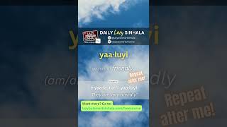 Friendly in Sinhala | Daily Lazy Sinhala | Learn Sinhala | Lazy But Smart Sinhala #learnsinhala
