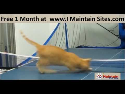 Imaintainsites
