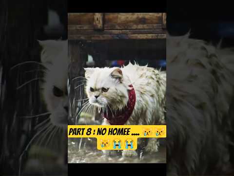 Part 8 : 😿😿😿😿 #shorts #shortvideo #sadcat #foryou #cat #kitten
