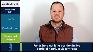 Cattle futures sharply lower. Lean Hog futures gain ground. 2/11/25