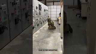 high voltage switch gear