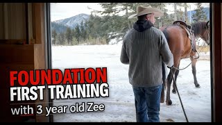 Foundation First: Zee Part 1