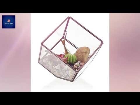 Glass Terrariums