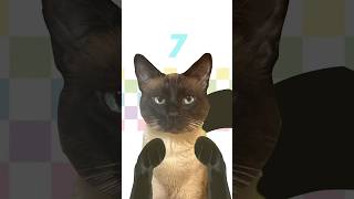#cat #plsviral #sixseven #animation meme#alightmotion #Lokimeter#LokiTheCat