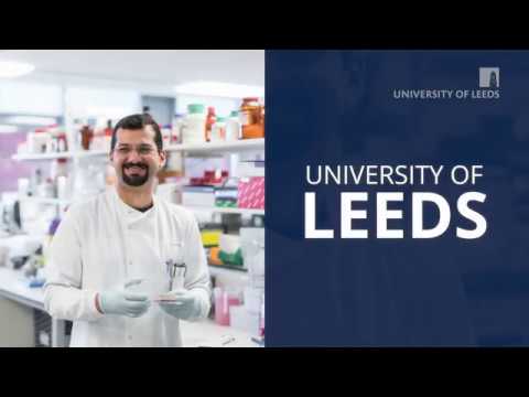 Leeds School of Dentistry