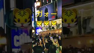 阪神18年ぶり優勝2023.9.14#阪神タイガース #優勝#おめでとう #ありがとう#are #道頓堀 #大阪 #dj #警察 #ミナミ