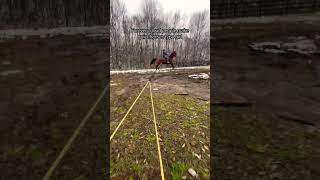 Nothing you can do to change my mind