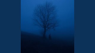 Gravitational Forces (Slowed + Reverb)