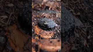 Clearing Clogged Drainpipes: Effective Solutions and Prevention