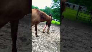 She is a fast learner