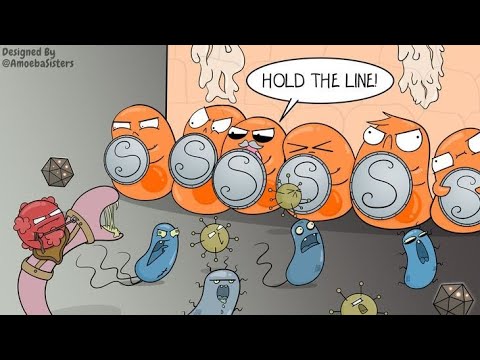 Defenders of Health: The Immune System Unleashed! | Science for All"