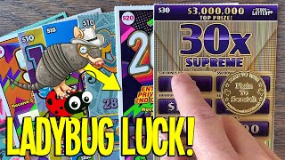 Ladybug Luck! Hoping This Would Happen!