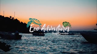 Dolphin Watching in Puerto Escondido