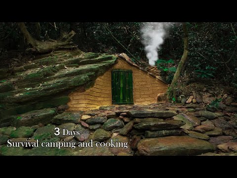 FULL VIDEO : 3 Days I Build A Survival Shelter Under The Cliff, Grass Cushion, Catch And Cook Wild