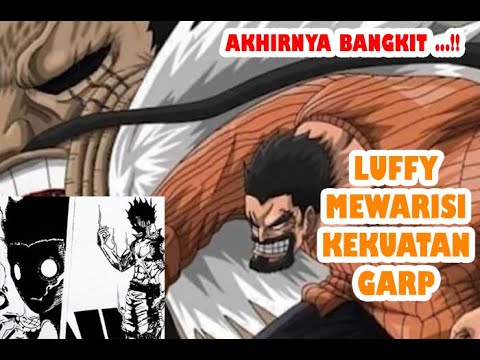 Kekuatan Garp Bangkit Dalam Tubuh Luffy (OP 1037)