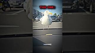 bro is built different #edit #trollface #troll