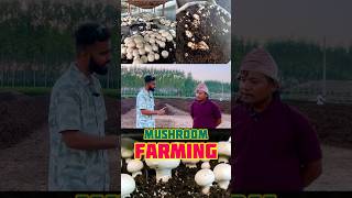 Low cost Mushroom Farming Technique India 🇮🇳🍄‍🟫 Button Mushroom 8 Lac Profit #mushroomfarming