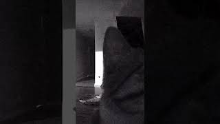 Cat gets flash banged. Clip from @DailyDoseOfInternet #cat #flashbang #yeeps #fypviralシ