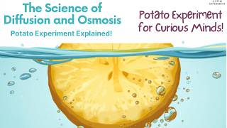 The Science of Diffusion and Osmosis: Potato Experiment Explained! | STEM Experiment