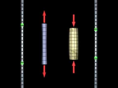 Compression vs. Tension