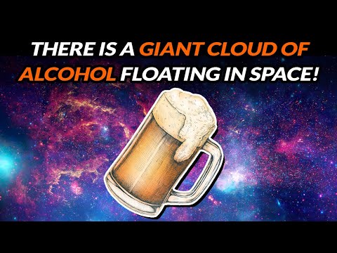 15 Weird Facts That Will Make You Say "Huh, Interesting"