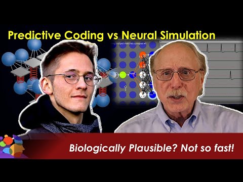 Reaction to Predictive Coding: Biologically Plausible? Not So Fast!
