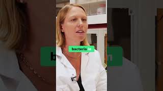 Good vs Bad Gut Bacteria: The Key to Health