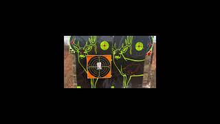 One Shot Zero with Sightmark Wraith Thermal #sightmarkwraith #sightmark