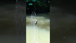 Cara mudah Mancing ikan tawes pakai pancing jaring kolong