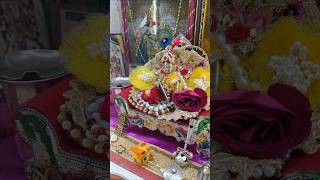 Krishna short #shortshorts #shorts #viralshorts #krishna #programerved