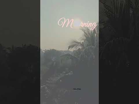 #vairalvideo #youtubeshorts #youtube #reelsvideo #youtuber #vlog #fbreelsfypシ゚viralシ #vairalshort