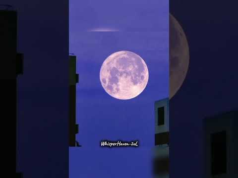 Ambient Space Music & Starry Sky Visual – Deep Focus & Relax” | #relaxingsounds #calmingmusic #fypシ